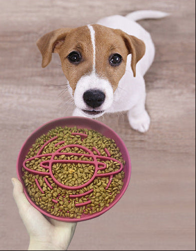 Planet Saturn Slow Feeder Dog Bowl - 2-in-1 Design for Healthy Eating - Dark Blue