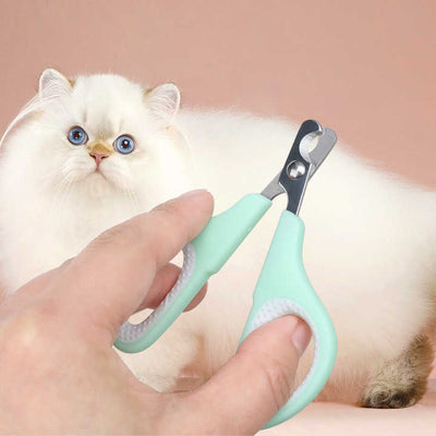 5-in-1 Grooming Care Kit for Smaller Cats and Dogs - Blue