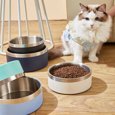 32oz Premium Stainless Steel Pet Bowl - Non-Slip & Anti-Tip - Durable & Easy to Clean - Beige and Silver