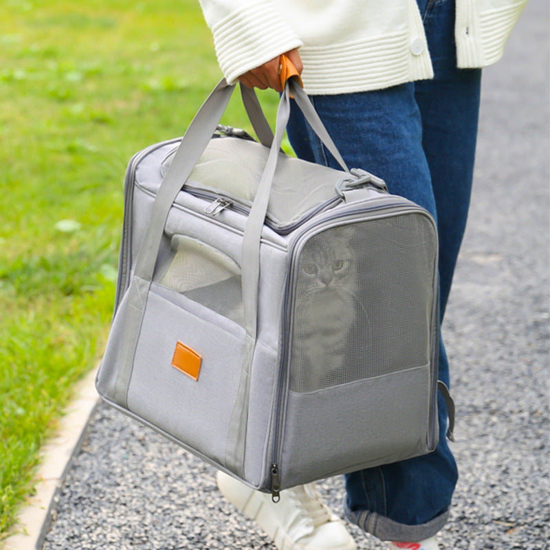 Black Soft-Sided Foldable Pet Carrier with Plush Bedding - Fits Cats & Small Dogs Under 6kg