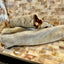 2pc JUST Shark Skin Rolls - Premium Dog Treats