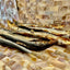 100g JUST Whole Sardines - Premium Dog Treats