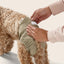 Snooza – Washable Dog Nappy – Twin Pack for Female Dogs