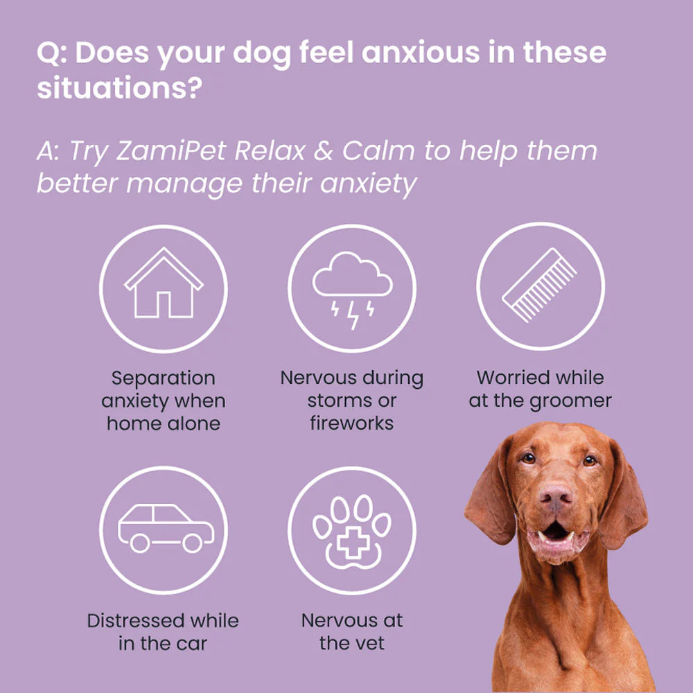 ZamiPet – Relax & Calm Chews - Made with Australian Chicken