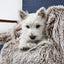 Snooza Calming Cuddler Blanket in Mink - Soothing and Warming - Two Sizes