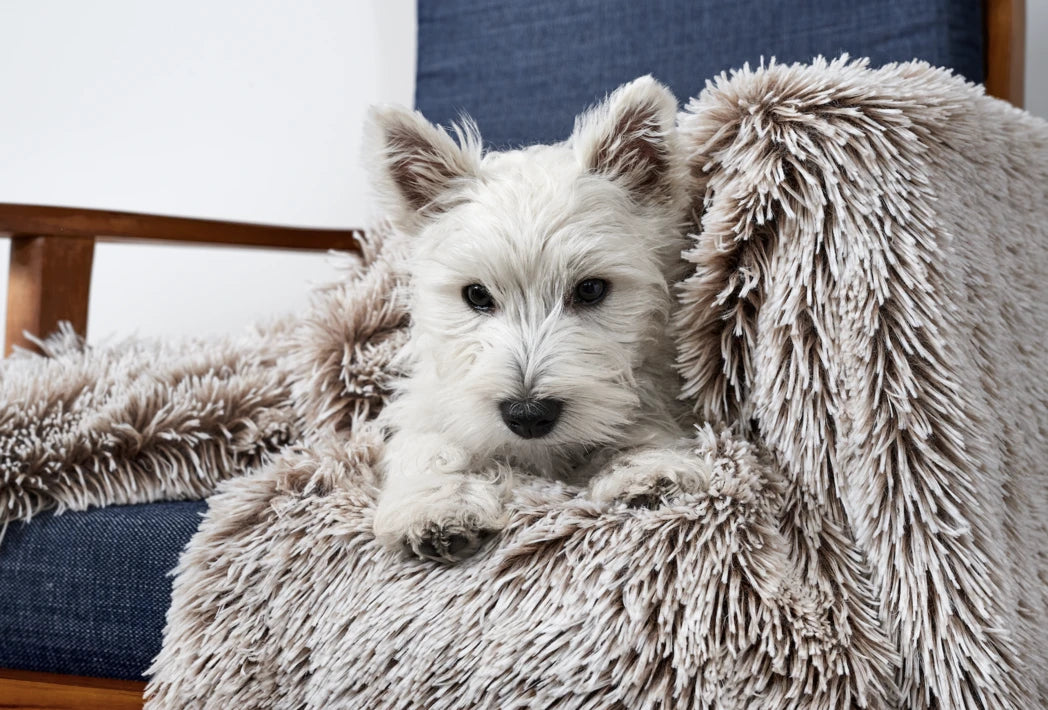 Snooza Calming Cuddler Blanket in Mink - Soothing and Warming - Two Sizes