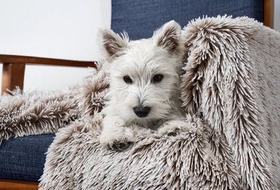 Snooza Calming Cuddler Blanket in Mink - Soothing and Warming - Two Sizes