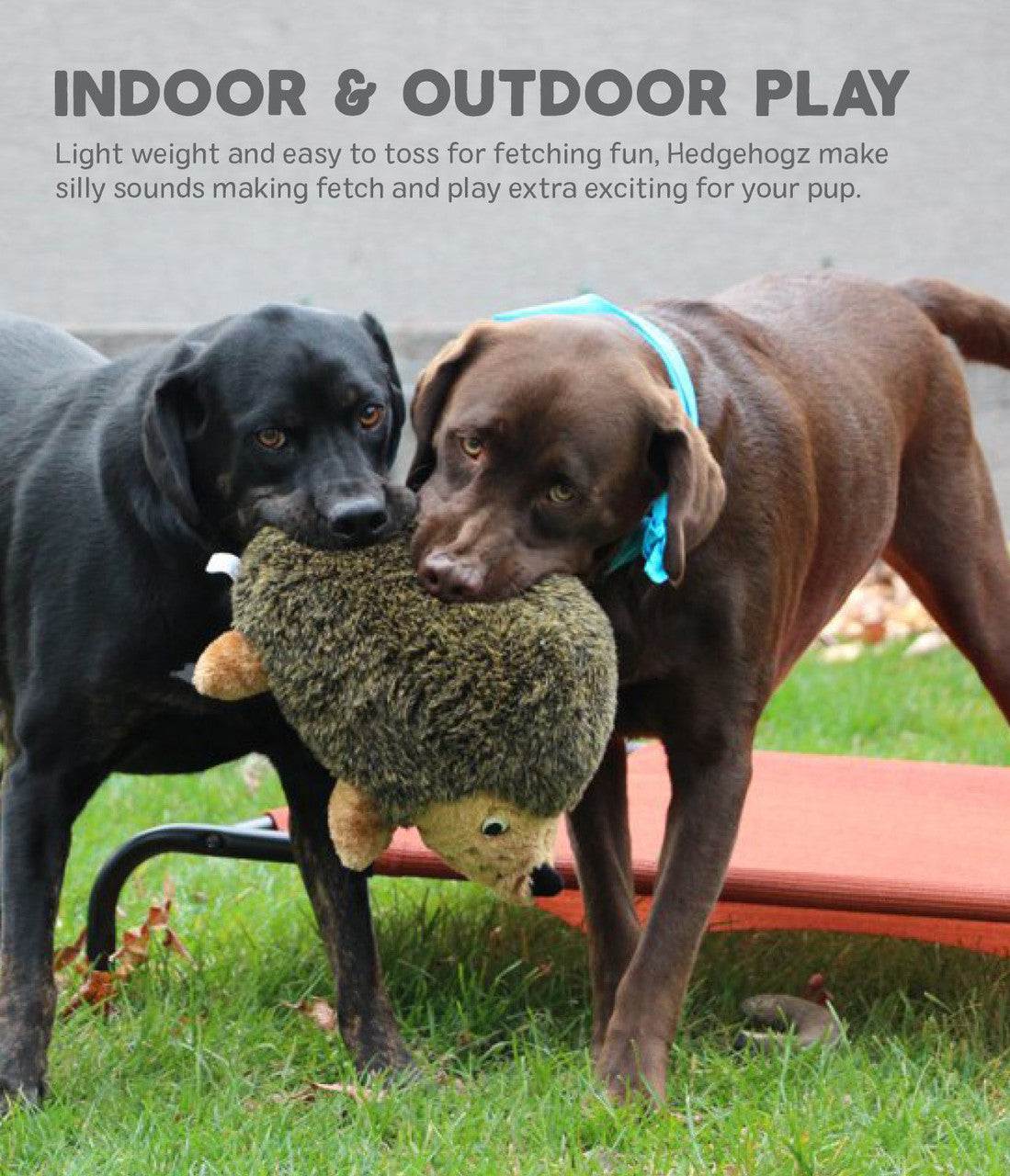 Outward Hound – Plush Hedgehogz for Dogs - Grunt and Squeak!
