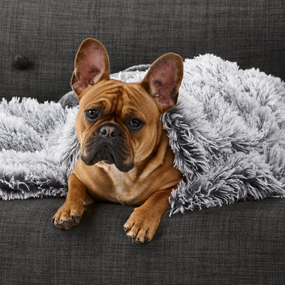 Snooza Calming Reversible Cuddler Blanket in Chinchilla & Silver Fox - Soothing and Warming - Two Sizes