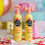 Pet Head Birthday Edition Natural Shampoo & Spray