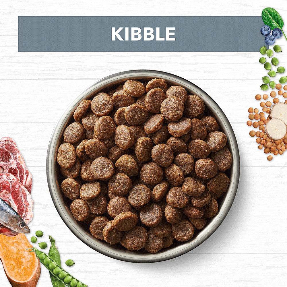 Ivory Coat Grain Free Adult Dog Food – Lamb & Sardine