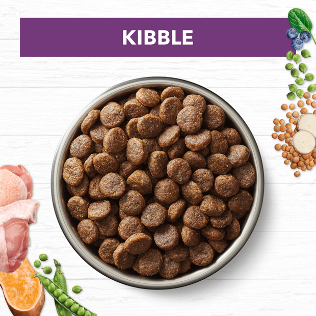 Ivory Coat Grain Free food for Mature Dogs – Turkey