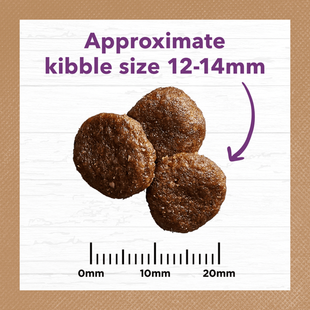 Ivory Coat Grain Free food for Mature Dogs – Turkey