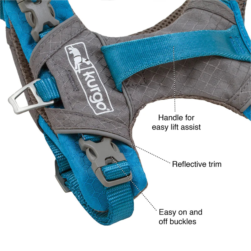Journey Air Dog Harness by Kurgo - Perfect for Strong, Active Dogs!