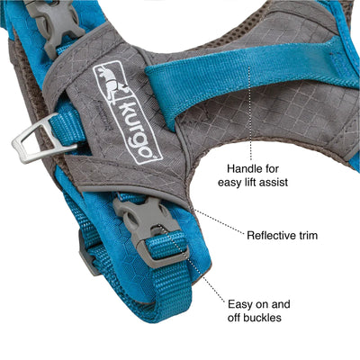 Journey Air Dog Harness by Kurgo - Perfect for Strong, Active Dogs!
