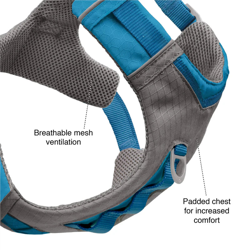 Journey Air Dog Harness by Kurgo - Perfect for Strong, Active Dogs!