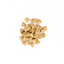 SavourLife Peanut Butter Bikkie Bites - Irresistible Treats for Dogs!