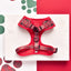 Cocopup London – Adjustable Neoprene Neck Harness – Tartan - Various Sizes