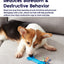 Petstages – Orka Bone Chew Toy for Dogs - Supports Dental Hygiene!
