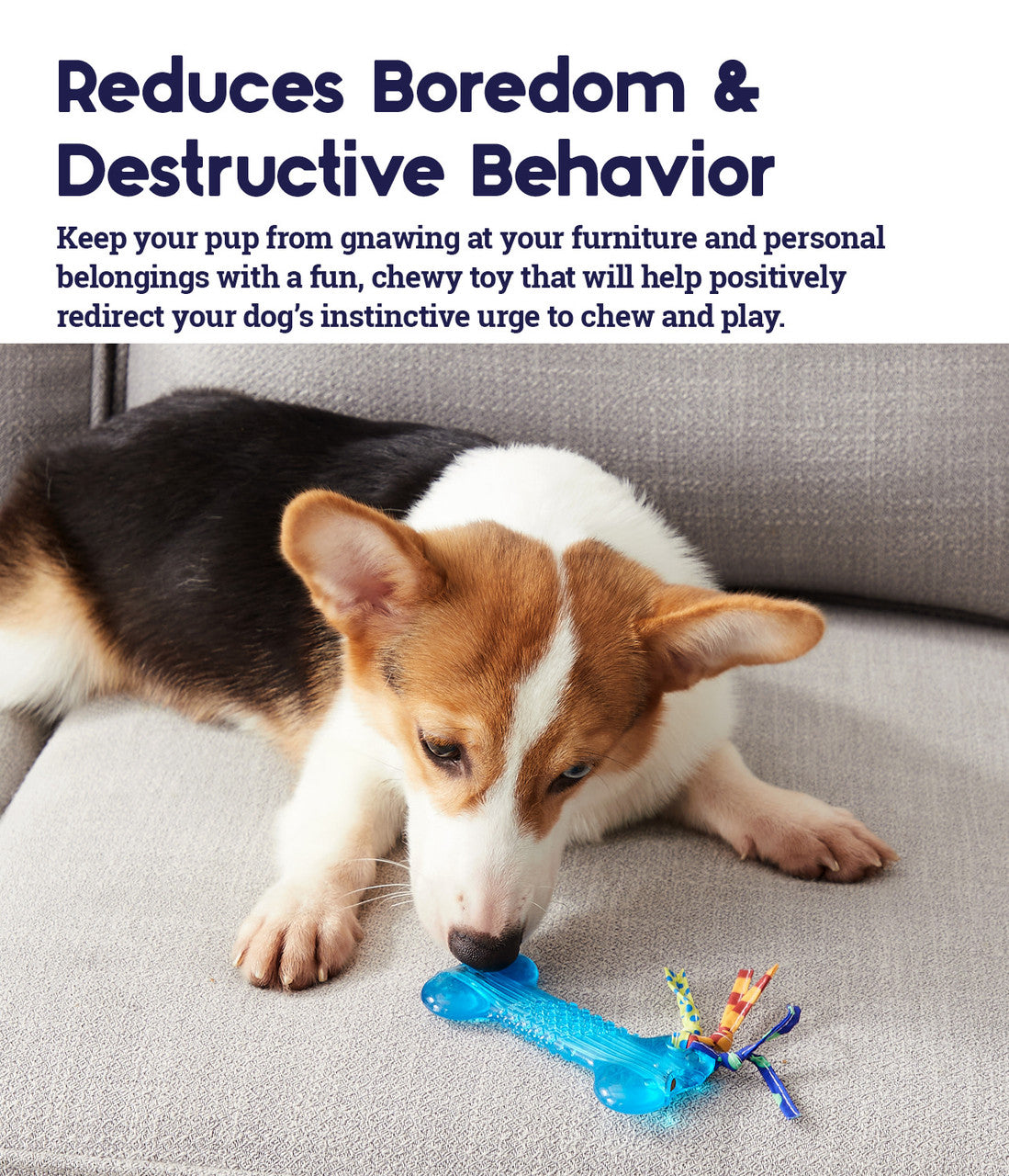 Petstages – Orka Bone Chew Toy for Dogs - Supports Dental Hygiene!