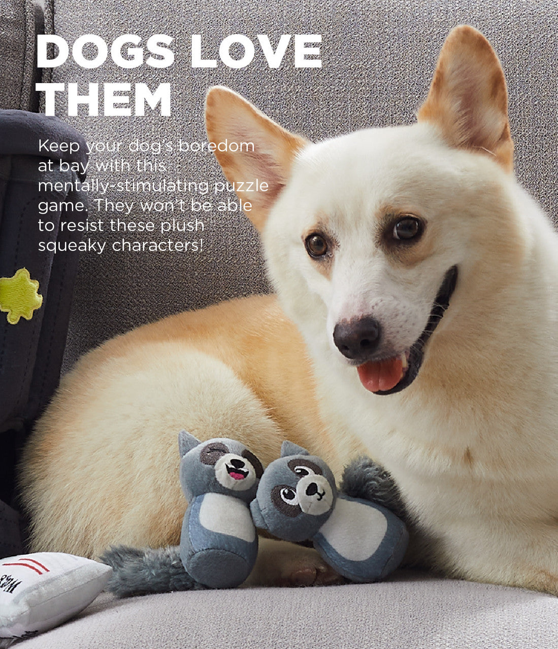 Outward Hound – Hide-A-Raccoon 2-in-1 Plush Dog Puzzle
